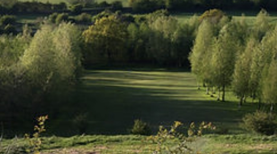 Photo of Brierley Forest Golf Club